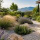 Dry garden residenziale con ghiaia, lavanda, graminacee e piante resistenti alla siccità.
