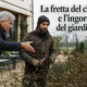 La fretta del cliente e l’ingordigia del giardiniere durante la potatura delle rose