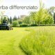 Taglio erba differenziato in area verde con prato rasato e prato fiorito
