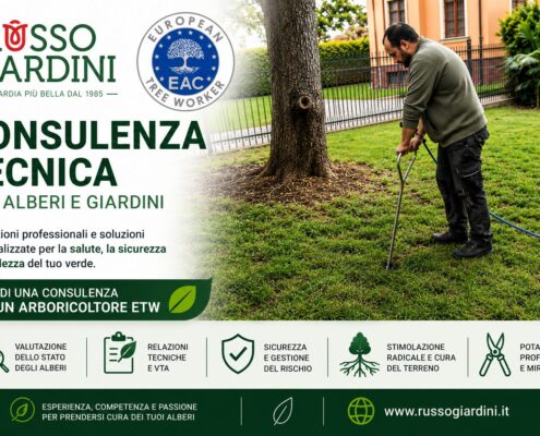 Consulenza tecnica per alberi e giardini eseguita da arboricoltore ETW Russogiardini con valutazione professionale del verde