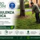 Consulenza tecnica per alberi e giardini eseguita da arboricoltore ETW Russogiardini con valutazione professionale del verde