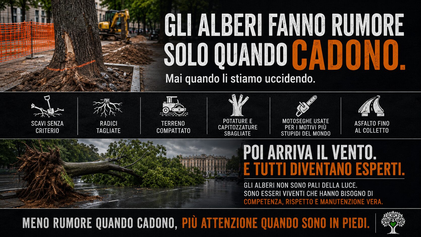 Infografica sugli errori che danneggiano gli alberi urbani e causano cadute, come scavi errati, radici tagliate e capitozzature.