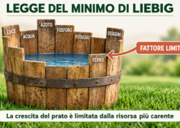 Legge del minimo di Liebig rappresentata da una botte con doghe di diversa altezza