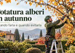 Potatura alberi in autunno eseguita da arboricoltore professionista