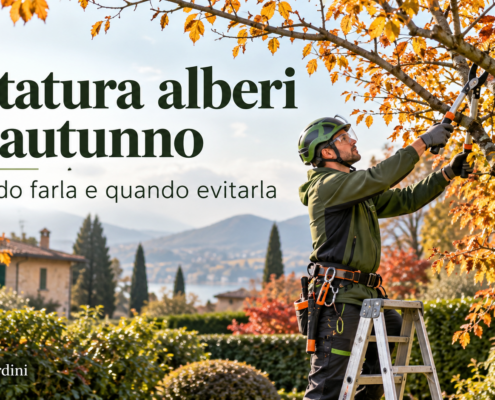 Potatura alberi in autunno eseguita da arboricoltore professionista
