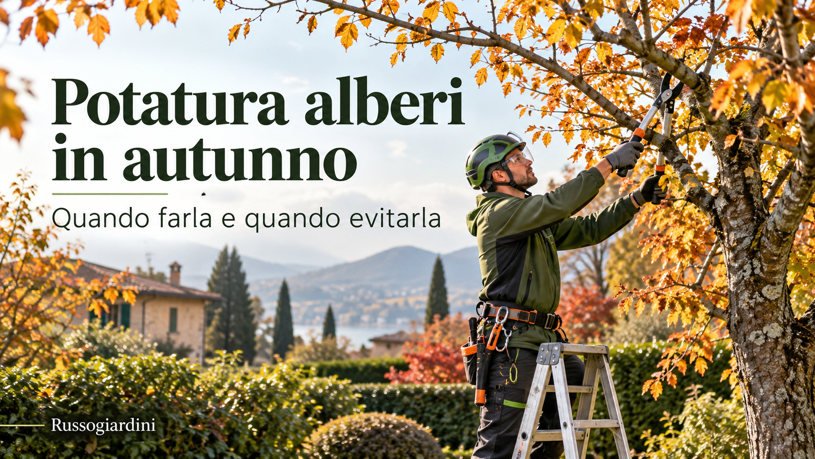Potatura alberi in autunno eseguita da arboricoltore professionista